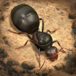 The Ants MOD APKs 3.68.4 (Unlimited Money)